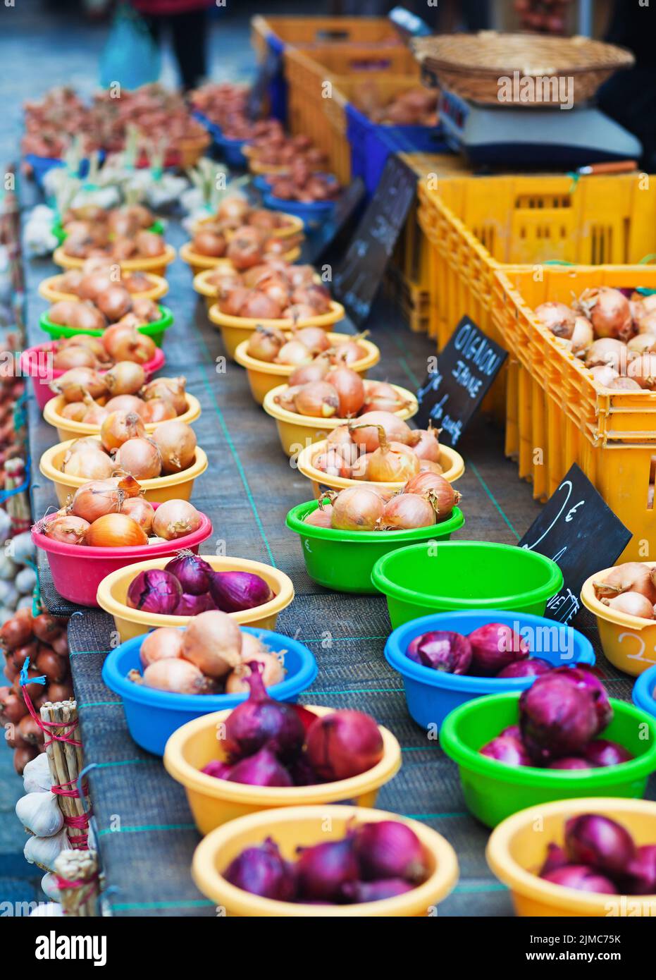 Cipolle sul mercato di fattoria Foto Stock