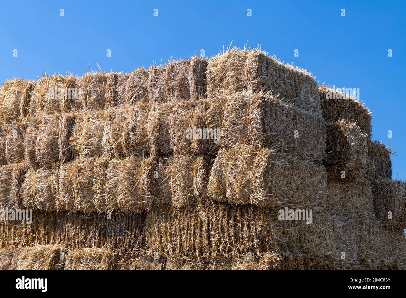 Pila di balle di paglia contro un cielo blu Foto Stock