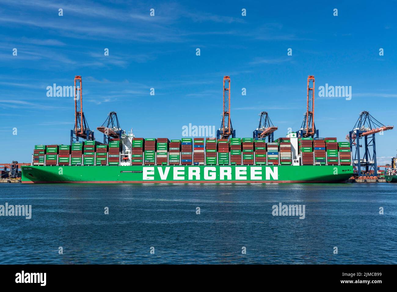 Europoort, porto di Rotterdam, Evergreen Reederei Container Ship Ever Ace, attualmente il terzo più grande container freighter al mondo, con un massimo di 24 unità, Foto Stock