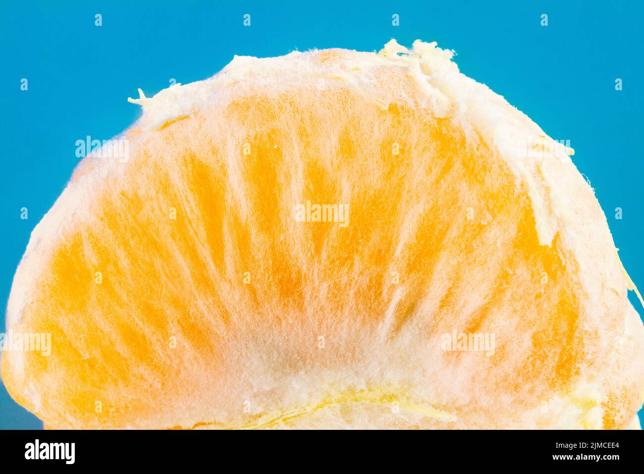 Fetta di singola Tangerine fresca su sfondo blu Foto Stock