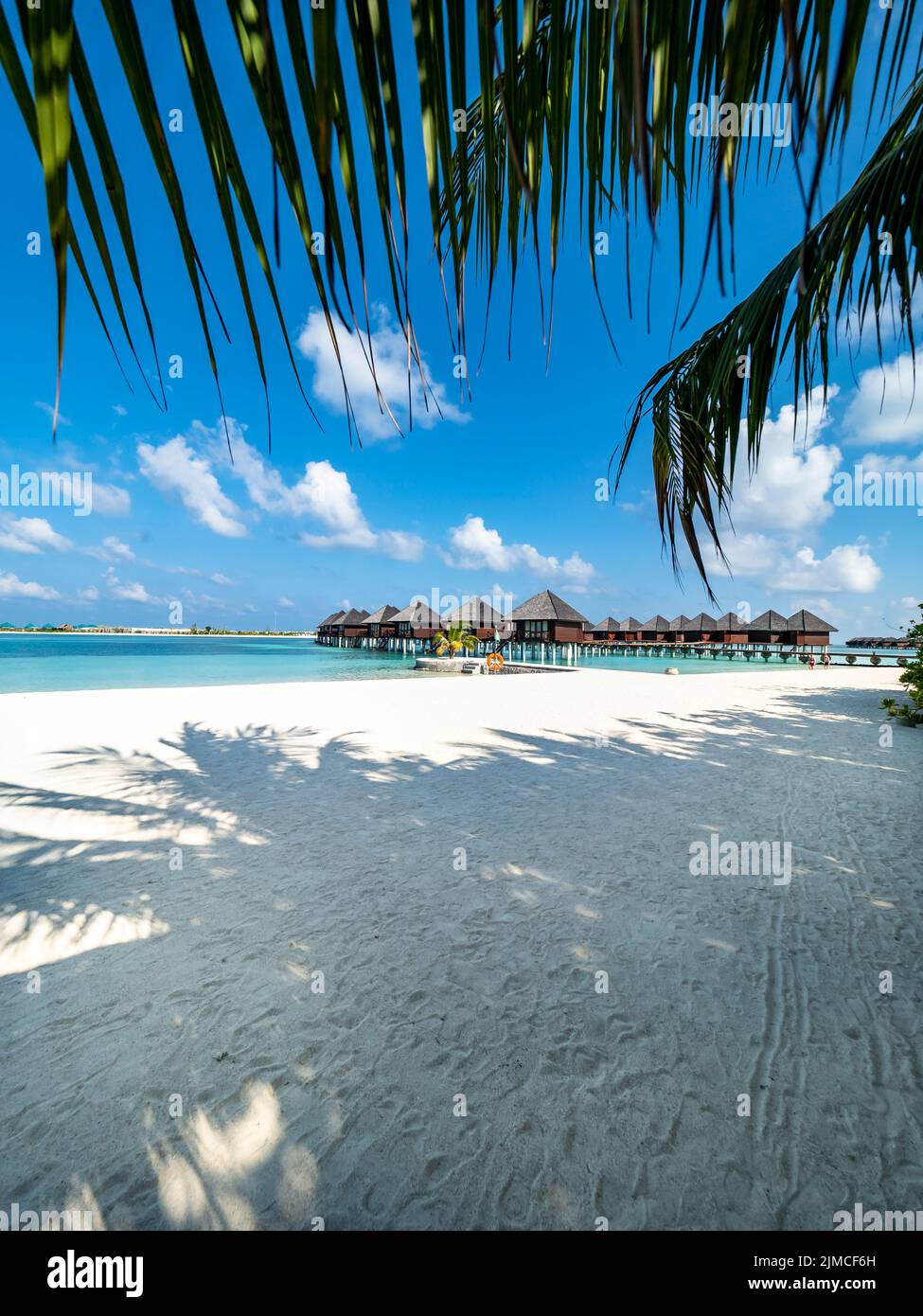 Maldive isola con spiaggia bungalows e palme, Sud Male Atoll, Maldive Foto Stock