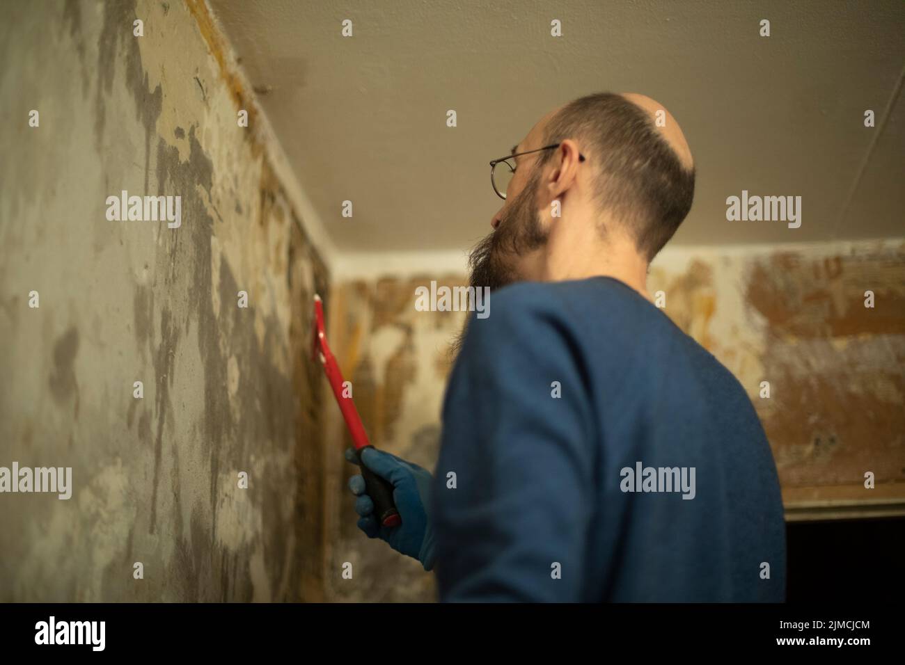 Guy sta ristrutturando la casa. L'uomo rimuove la carta da parati dalla parete. Preparazione della superficie della parete per la verniciatura. Foto Stock