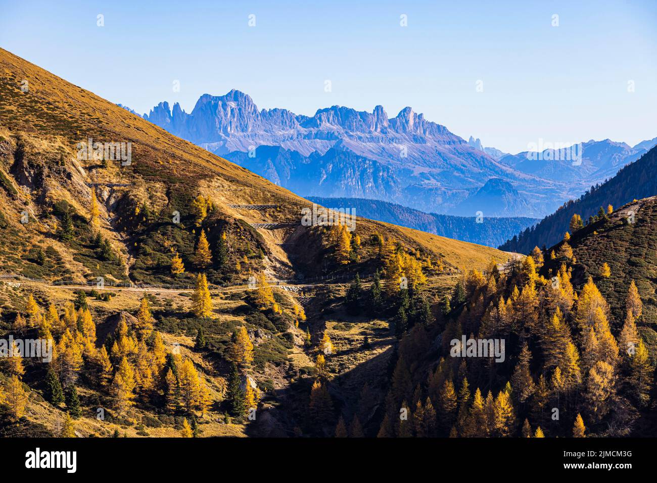 Sentiero escursionistico nel paesaggio alpino autunnale, sullo sfondo delle Dolomiti, area sciistica ed escursionistica di Merano 2000, nei pressi di Merano, S. Foto Stock