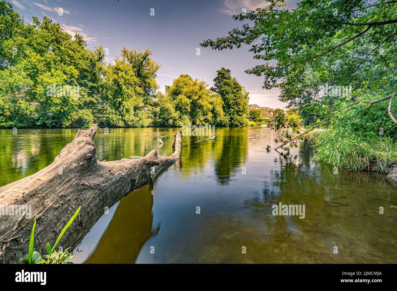 Lunga esposizione di un albero nel fiume Saale in Paradies Park sotto il cielo blu e sole, Jena, Turingia, Germania Foto Stock