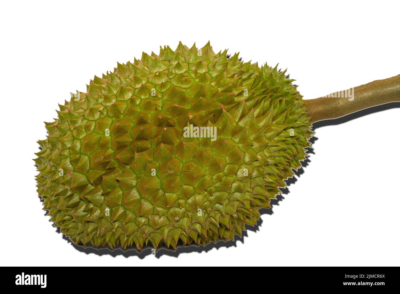 Durian il famoso frutto della Thailandia, conosciuto anche come il Re dei frutti su sfondo bianco. Foto Stock