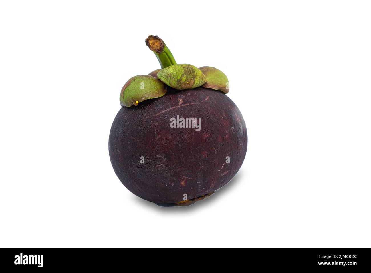 Il Mangosteen (Garcinia mangostana) è un frutto esotico e tropicale dal sapore leggermente dolce e asino Foto Stock