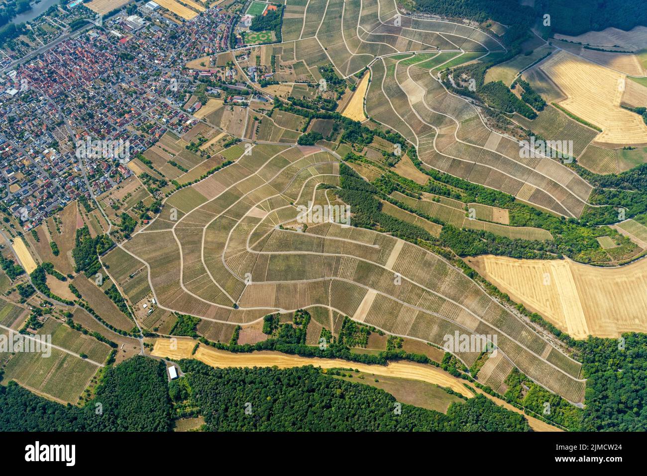 Vista aerea dei vigneti a Thuengersheim, comune, bassa Franconia distretto di Wuerzburg, area vigneto, più grandi comunità di viticoltori in Foto Stock