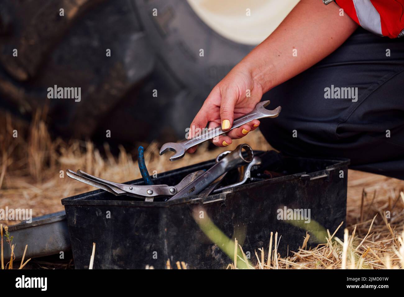 Da sopra di raccolto unrecogniscable lavoratrice femminile in uniforme che sceglie gli attrezzi dalla scatola mentre hunkering giù sul campo agricolo in campagna Foto Stock