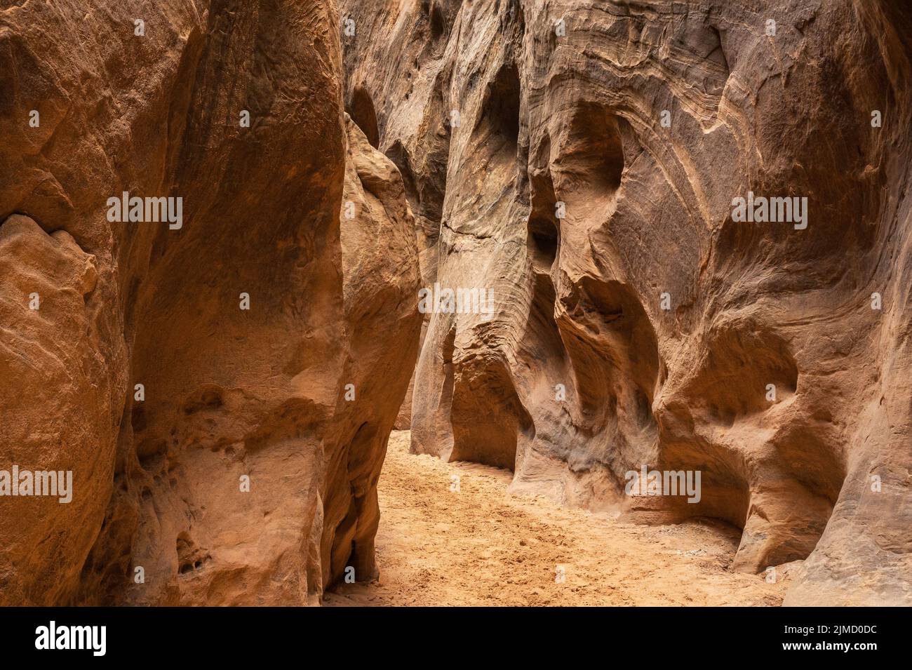 Percorso asciutto attraverso lo stretto Buckskin Gulch Canyon nello Utah, USA Foto Stock