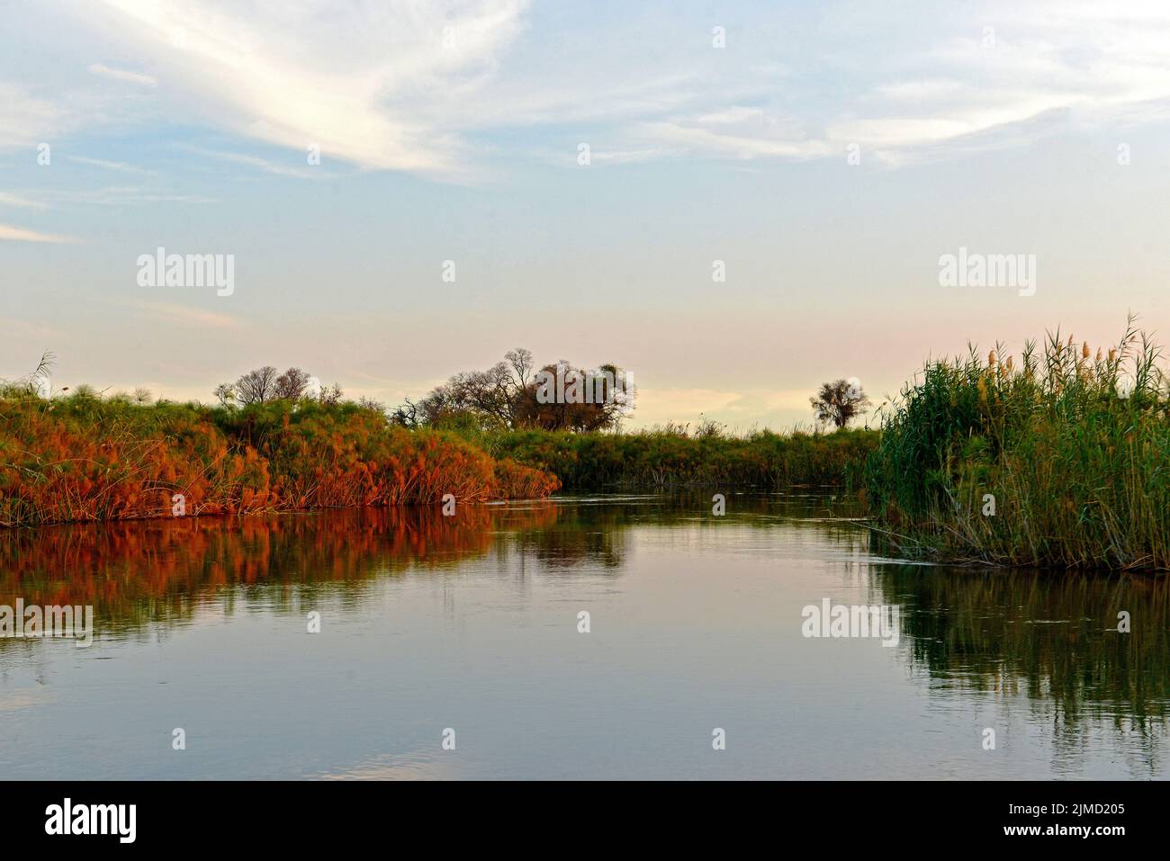 Gita sul fiume Kwando nella regione di Caprivi, Namibia Foto Stock