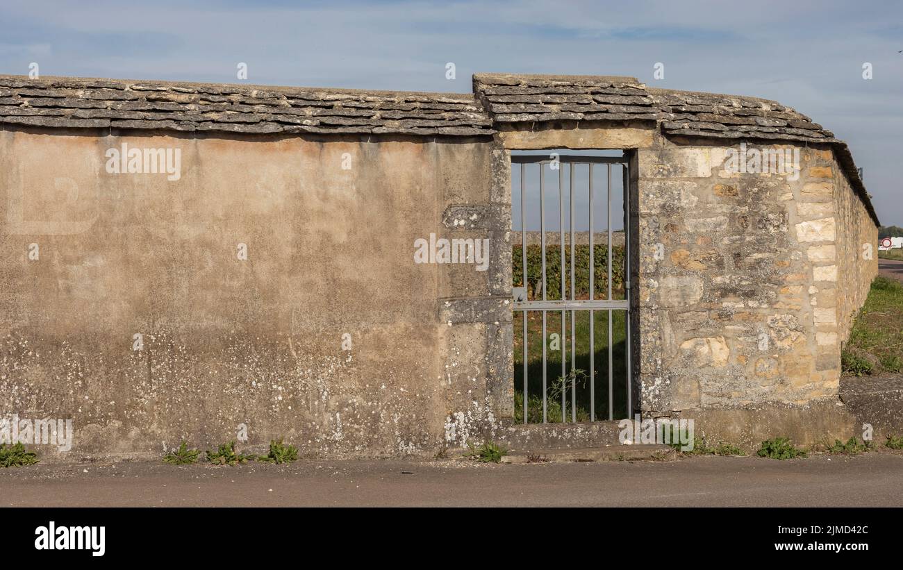 Vigneto murato in Francia con una porta trovato nella regione della Borgogna, dove questo è uno spettacolo comune Foto Stock