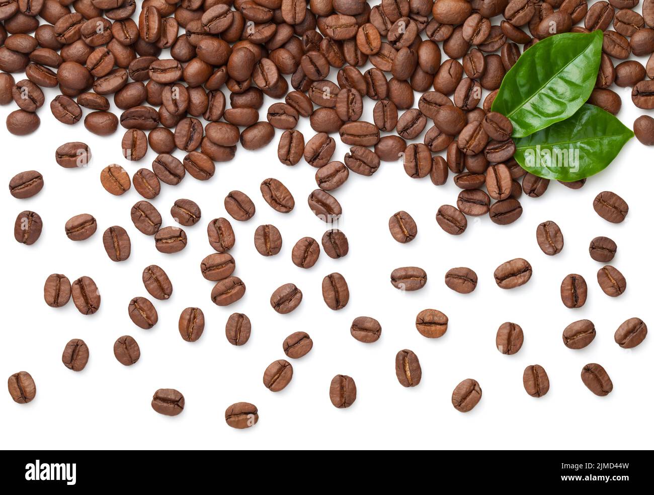 Caffè fagioli con foglie verdi fresche isolato Foto Stock