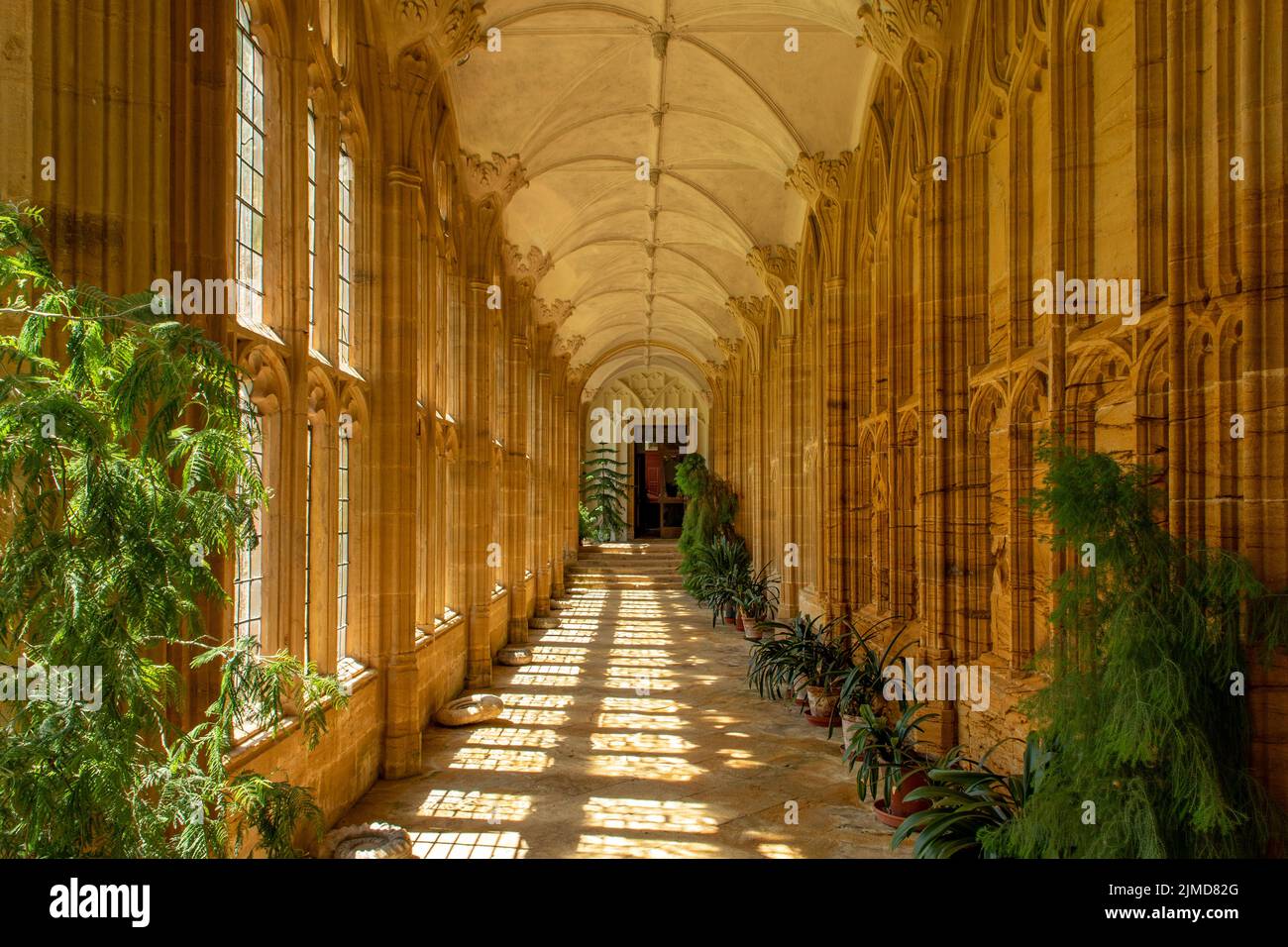 Chiostro in Forde Abbey, Chard, Somerset, Inghilterra Foto Stock