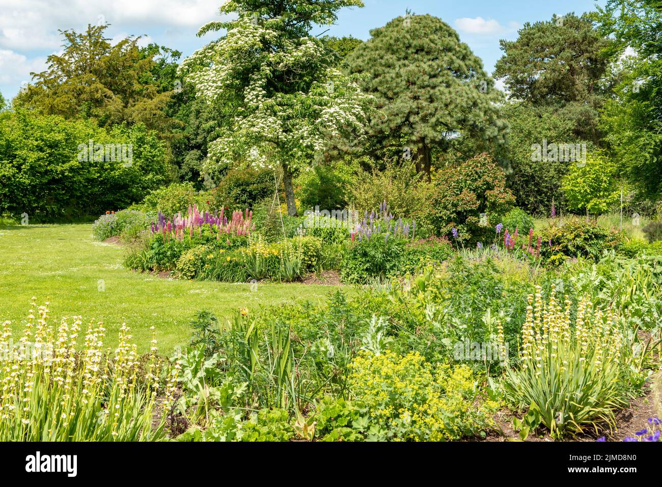 Giardini dell'abbazia di Forde, Chard, Somerset, Inghilterra Foto Stock