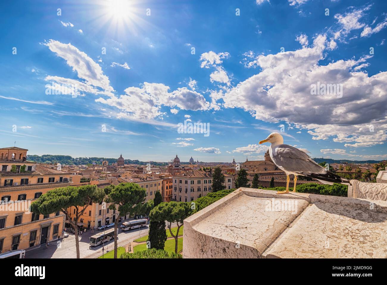 Roma Italia vista ad alto angolo skyline della città con Pigeon Foto Stock
