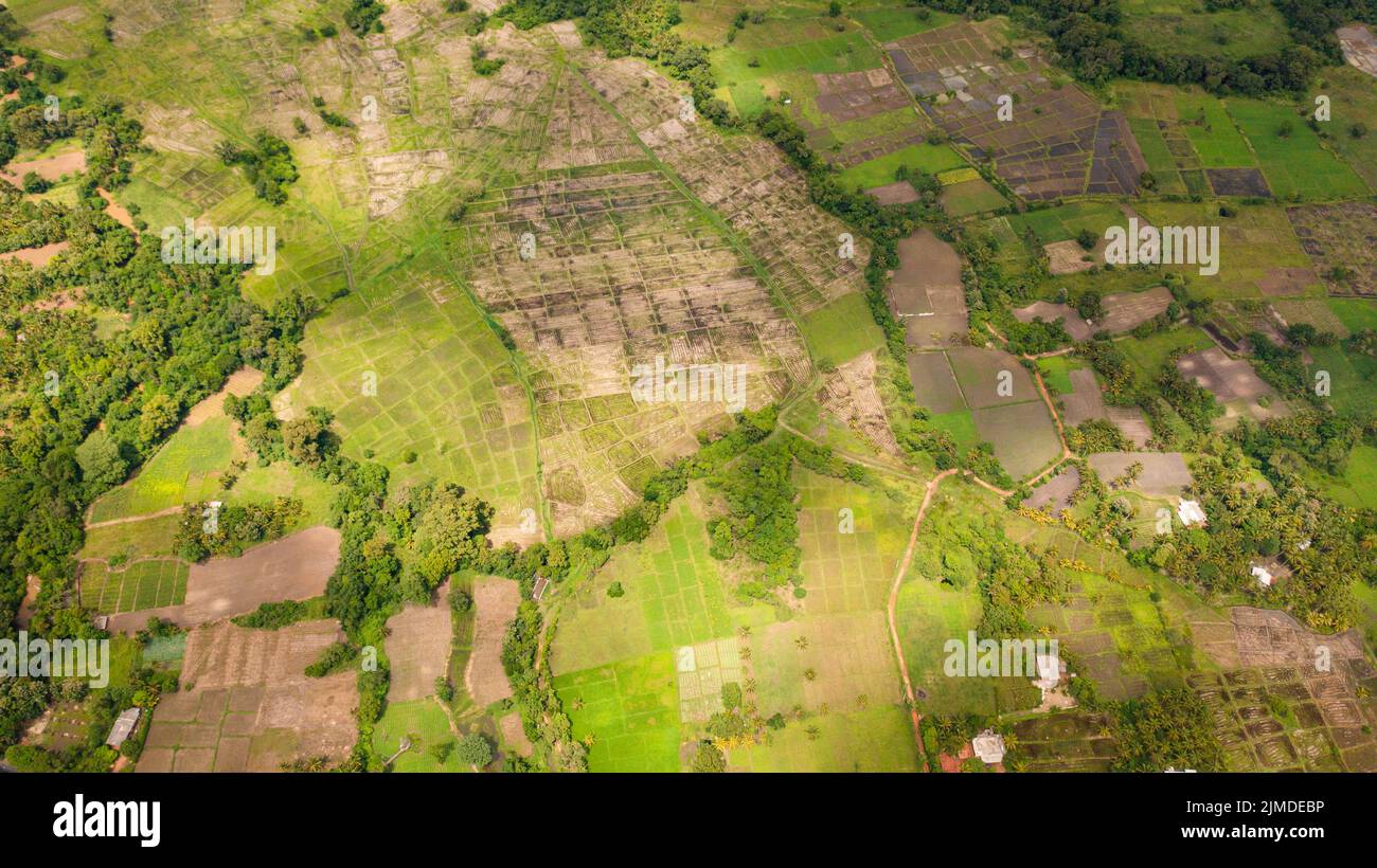 Vista aerea dei terreni agricoli e dei campi di riso in campagna. Sri Lanka. Foto Stock