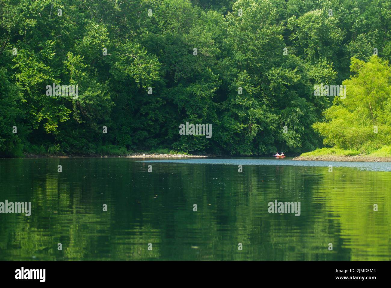 Fiume maestoso attraverso una foresta verde con kayak Foto Stock