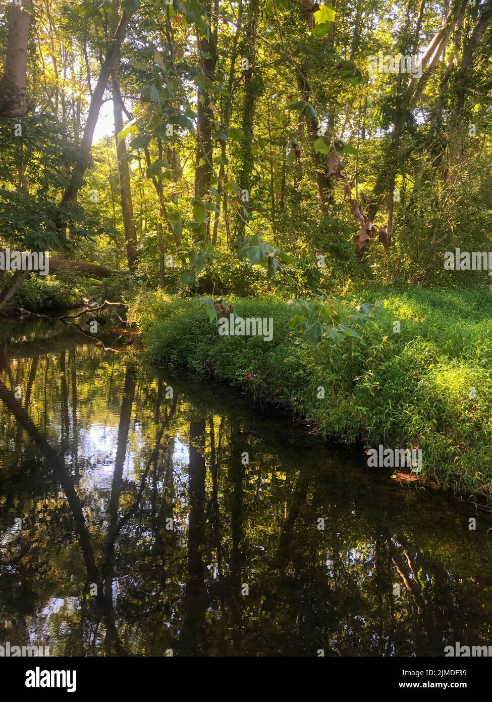 Luogo di meditazione idilliaco Foto Stock