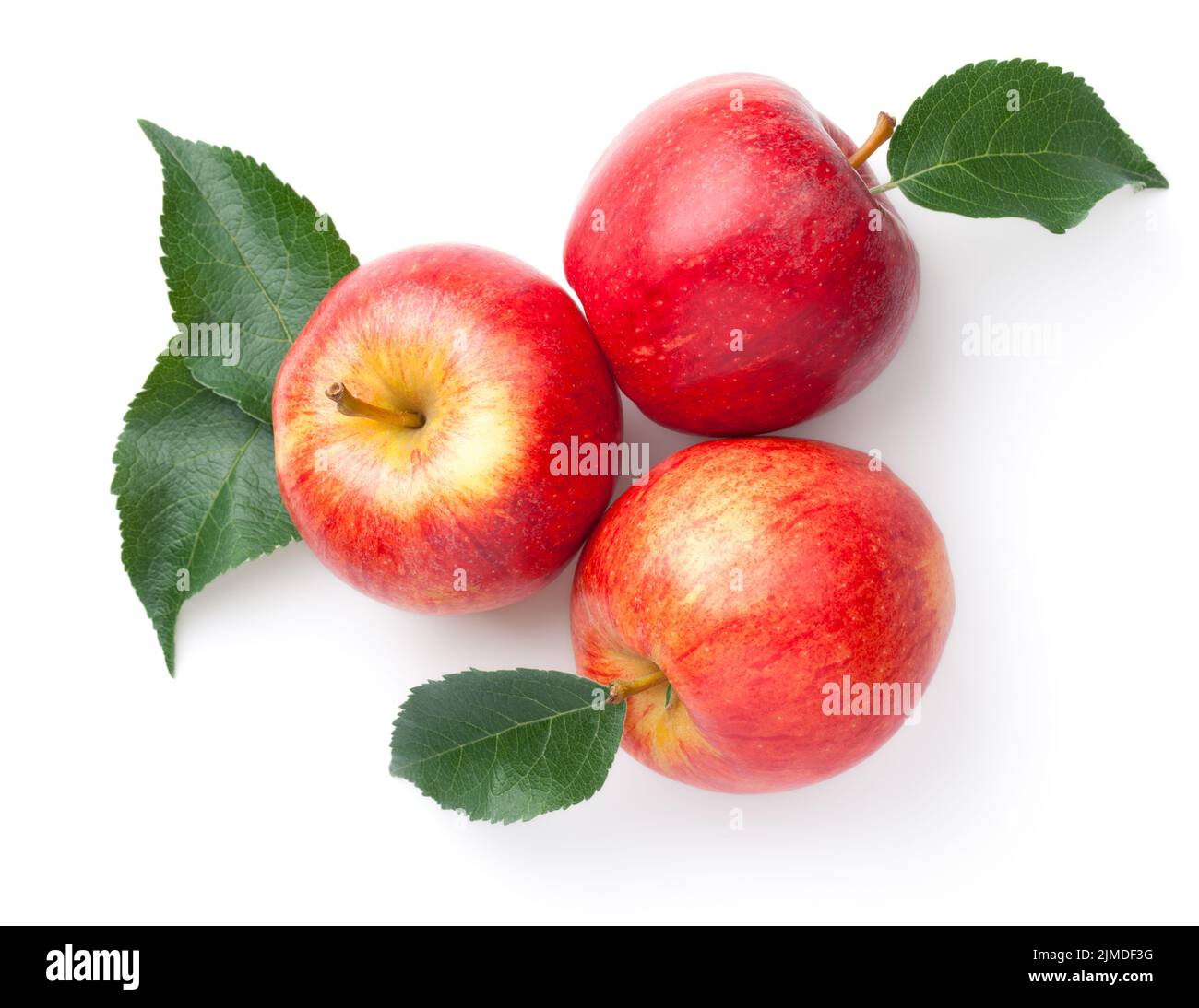 Mele rosse con foglie isolate su Bianco Foto Stock