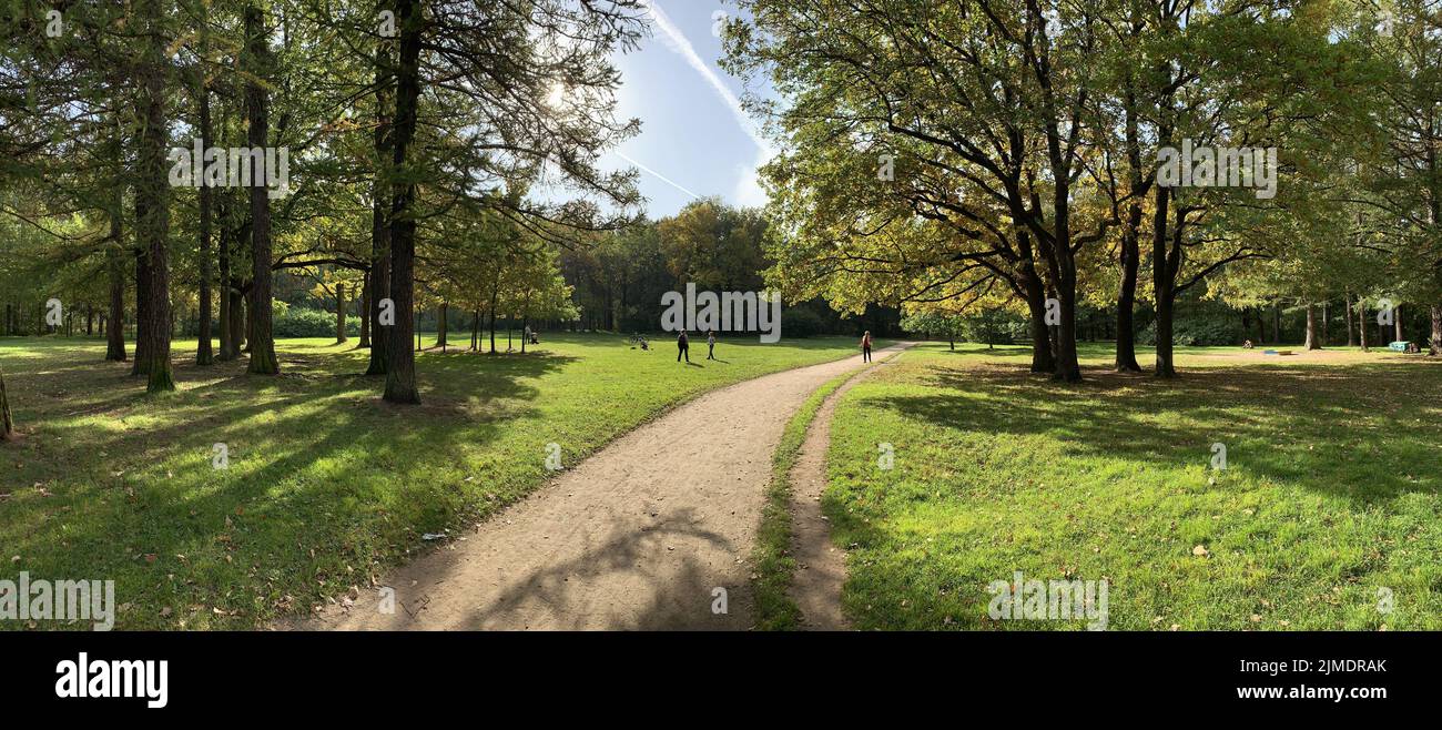 Panorama dei primi giorni di autunno in un parco, lunghe ombre di alberi, cielo azzurro, gemme di alberi, Trunks di bocce, giorno di sole, percorso i Foto Stock