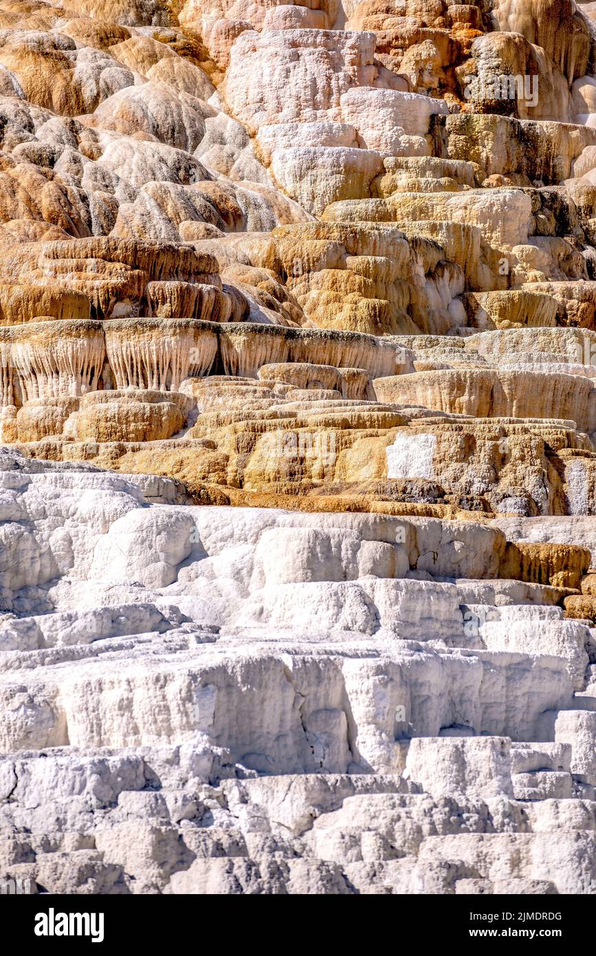 Terrazze in travertino, Mammoth Hot Springs, Yellowstone Foto Stock