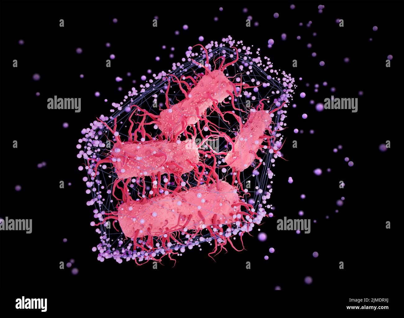 Escherichia coli in un'illustrazione concettuale netta Foto Stock
