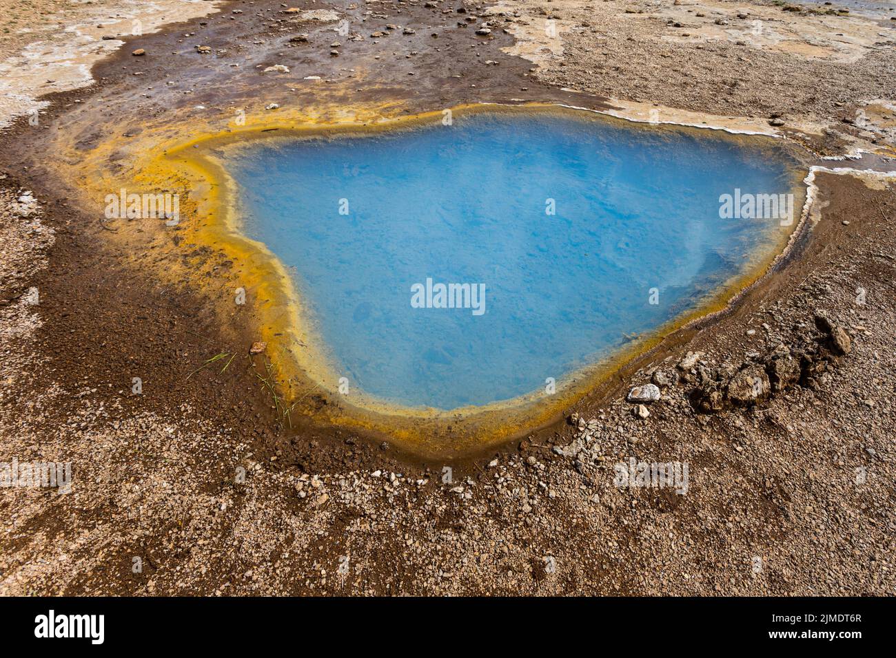Il geyser Blesi, cerchio d'oro nel sud dell'Islanda Foto Stock