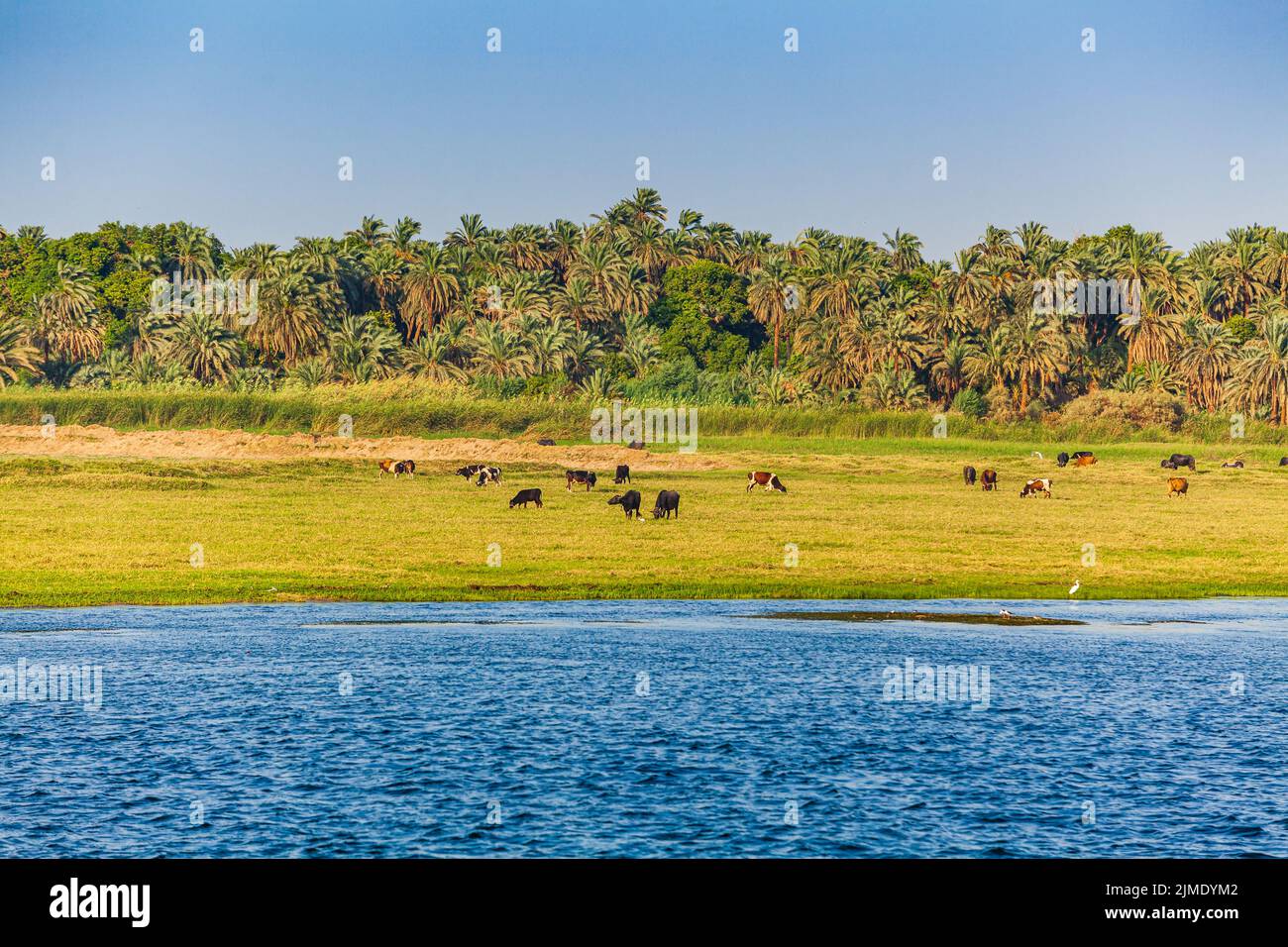 Il fiume Nilo in Egitto. La vita sul fiume Nilo Foto Stock