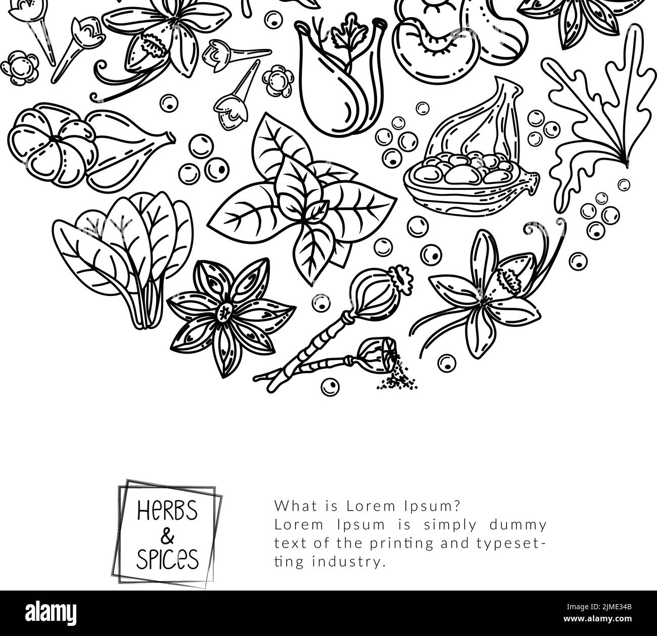 Modello di design per il packaging di erbe e spezie, elementi di doodle disegnati in stile sketch. Lettere scritte a mano. Cucina. Erbe e spezie, noci e radici. L Illustrazione Vettoriale