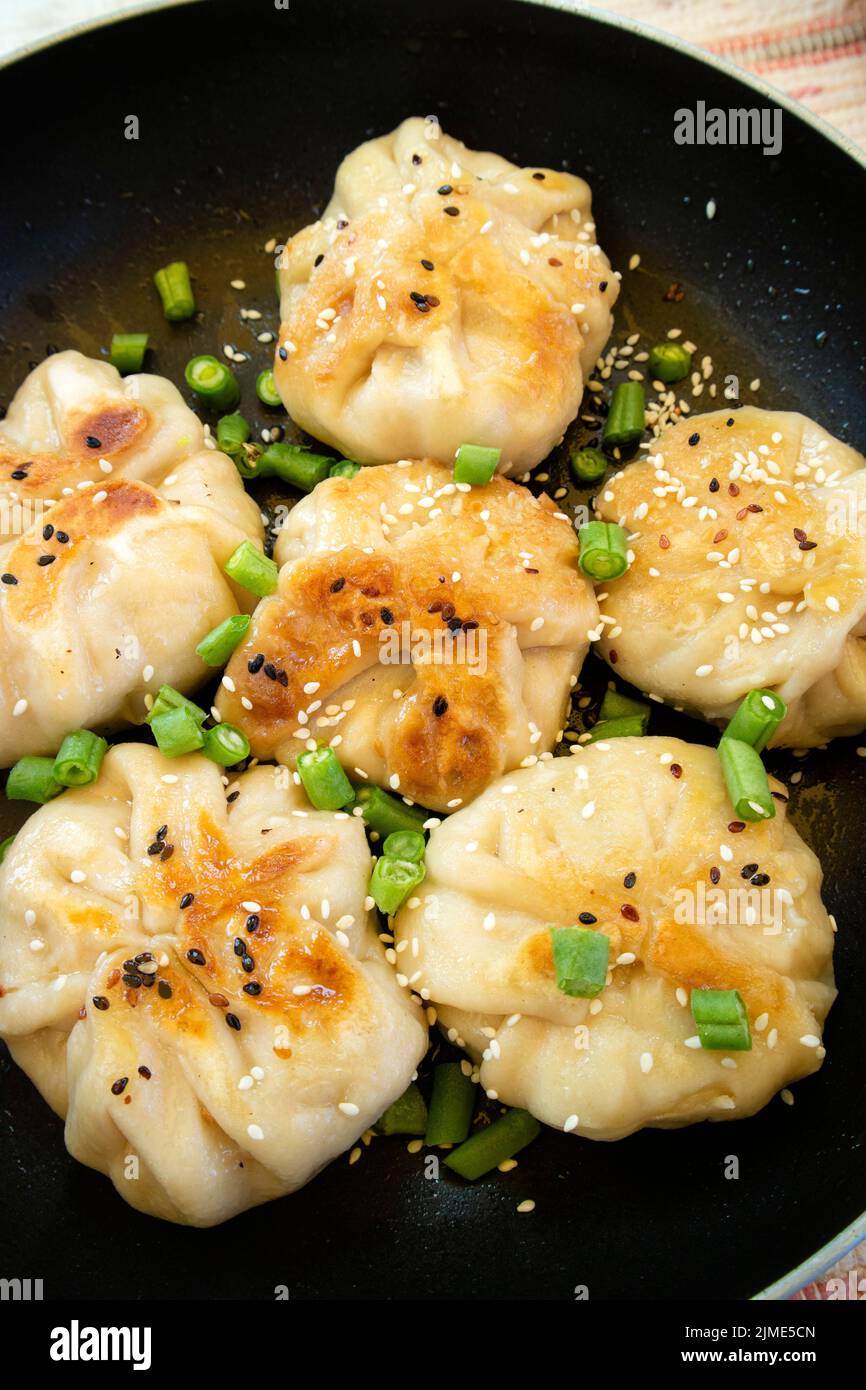 Raviolo farinato farcito con verdure e tofu Foto Stock