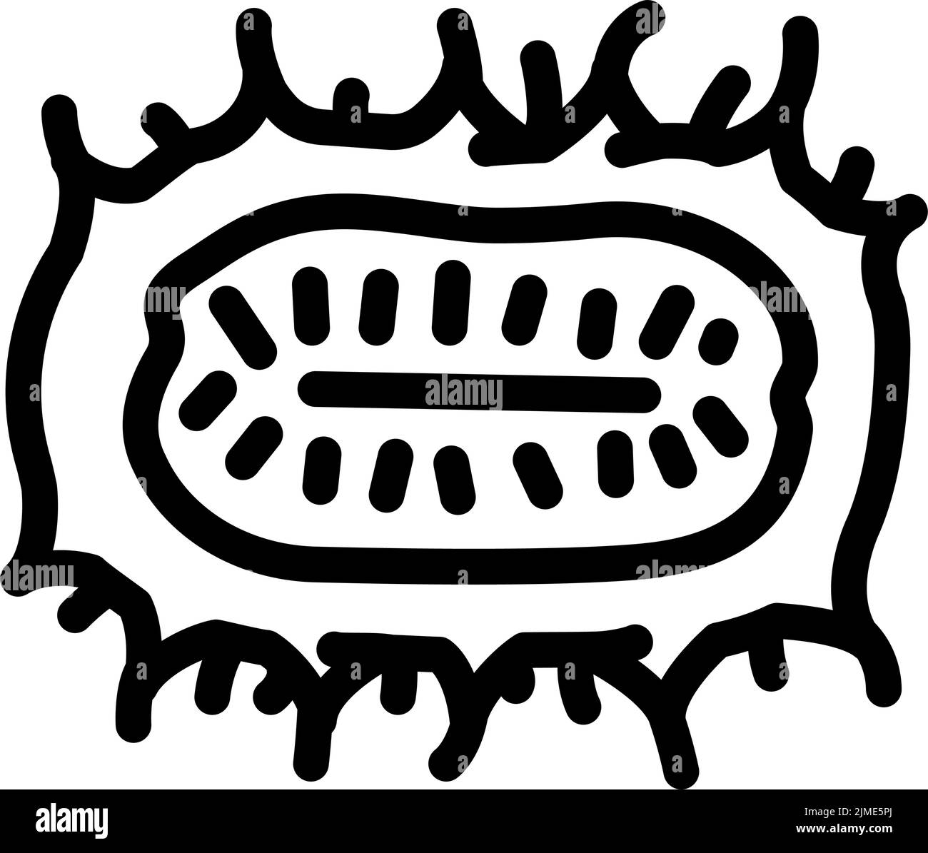 immagine vettoriale dell'icona della linea del cetriolo anguria Illustrazione Vettoriale