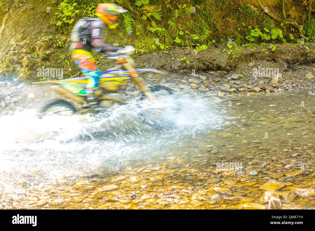 Estate Sunny Forest e Enduro Foto Stock