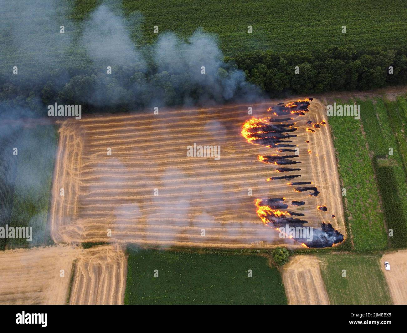 Appezzamento di terreno con paglia, incendio nel campo, combustione di residui di paglia, inquinamento dell'aria ambientale Foto Stock
