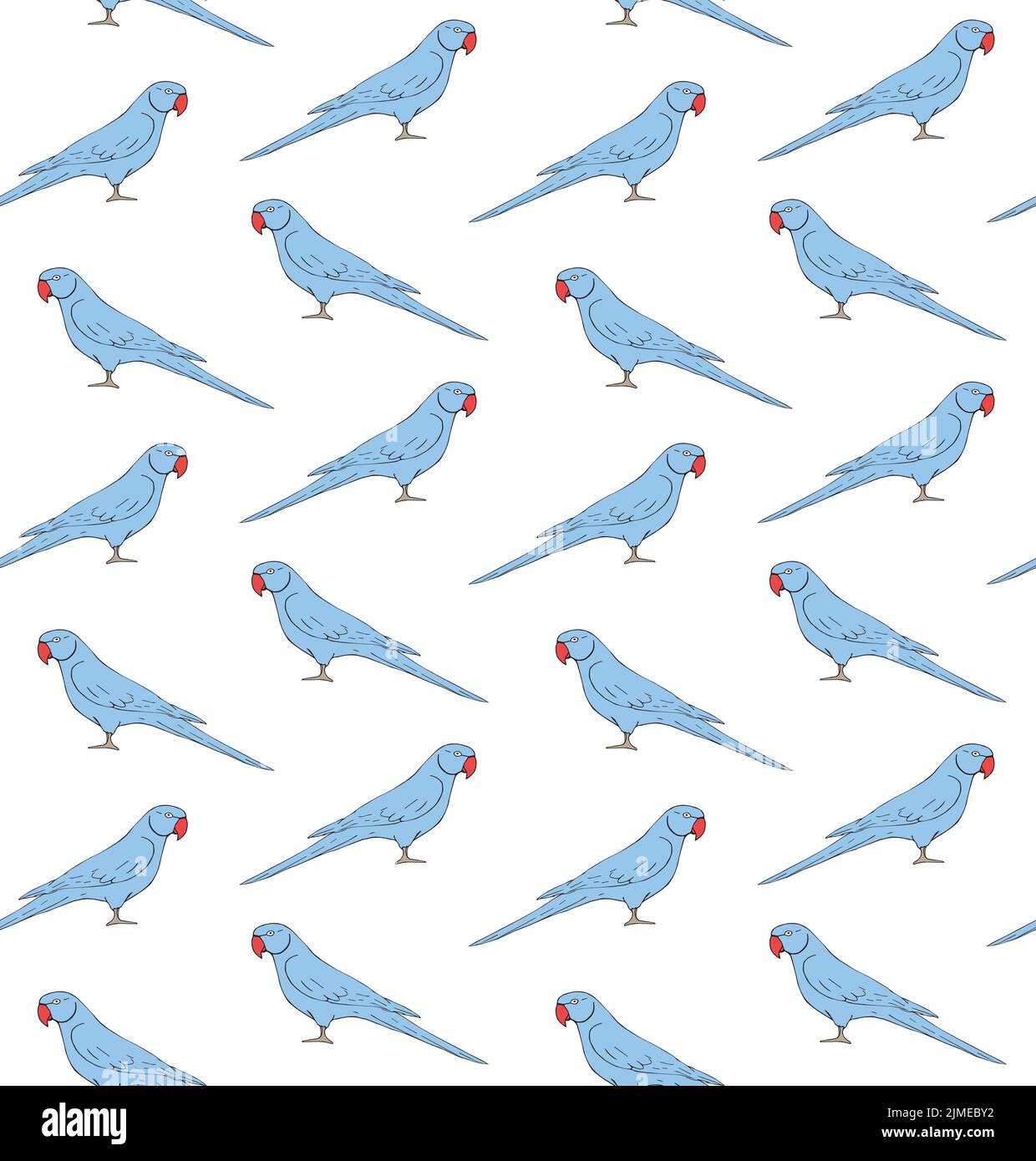 Vettore senza cuciture modello di boodle disegno a mano blu India ringneck pappagallo isolato su sfondo bianco Illustrazione Vettoriale