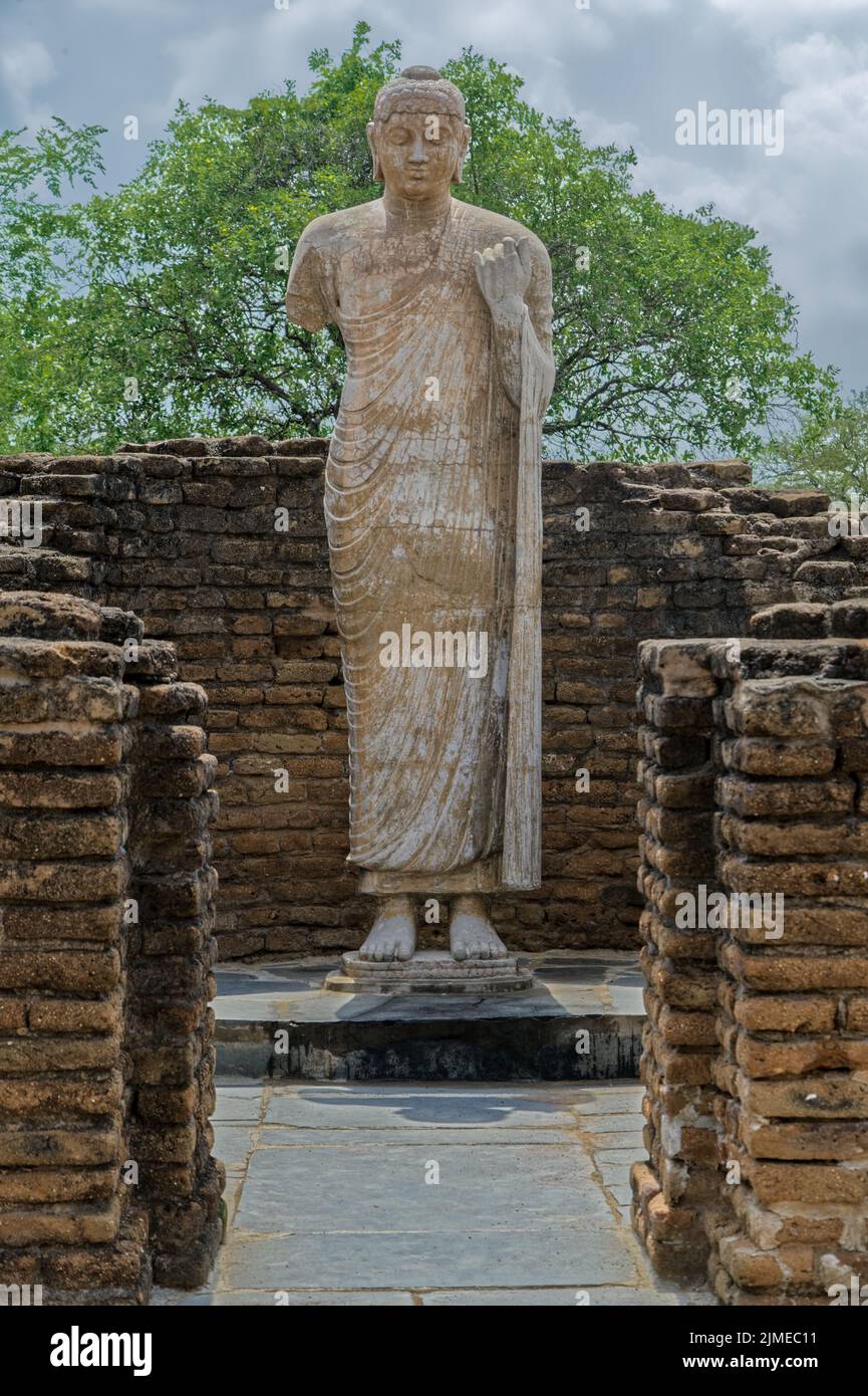 08 23 2015 Statua del Buddha 3rd secolo d.C. rovine di Nagarjunakonda, Nagarjuna Sagar Andhra Pradesh, India, Asia, indiano, asiatico - Foto Stock
