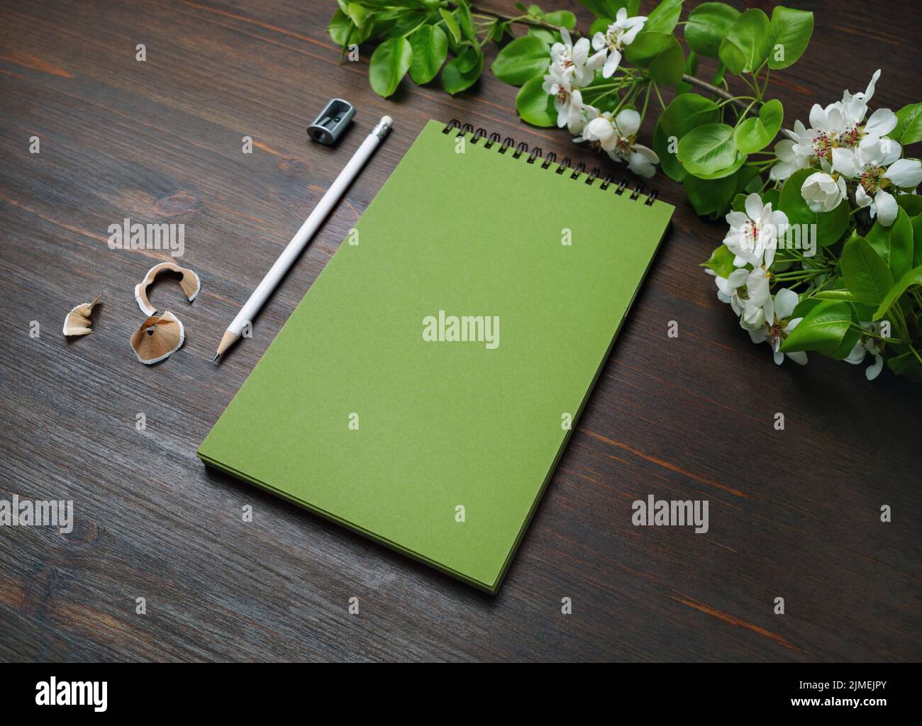 Blocco note, matita, affilatrice, fiori Foto Stock