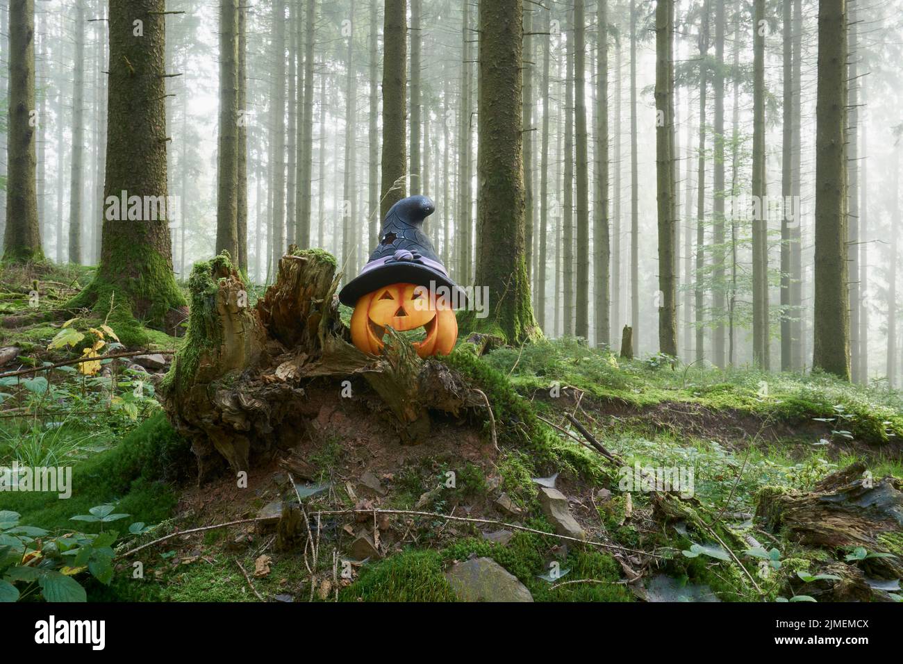 Foto di una zucca di Halloween nella foresta con nebbia in un giorno Foto Stock