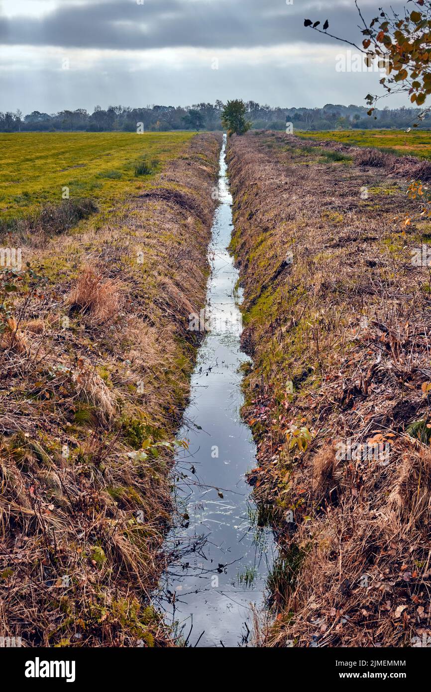 Il sentiero avventura Moor Ahlenmoor nel quartiere di Cuxhaven. Foto Stock