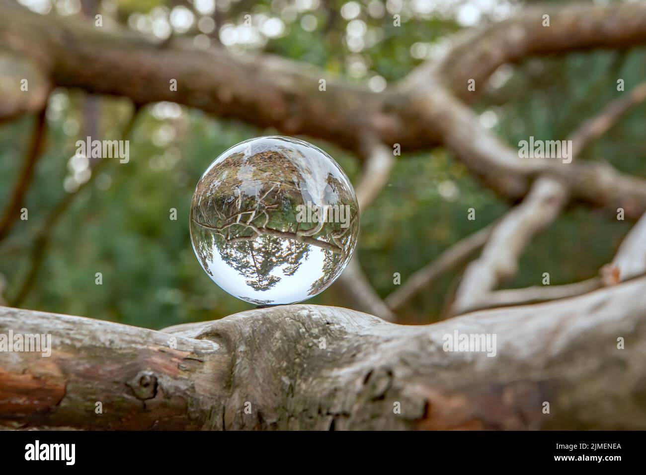 Sfera della lente Foto Stock