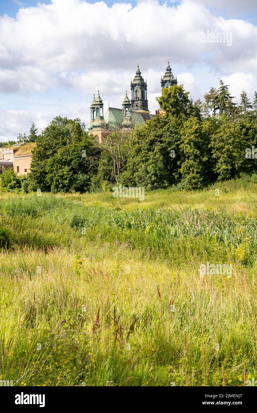 Un campo di erba verde e erbacce con l'edificio della cattedrale di Piotr e Pawel nell'isola di Tumski. Foto Stock