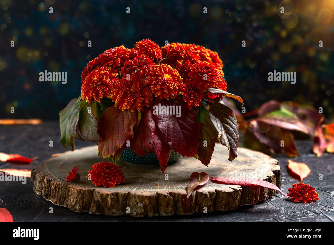 Bouquet autunnale di crisantemi rosso-arancio. Foto Stock