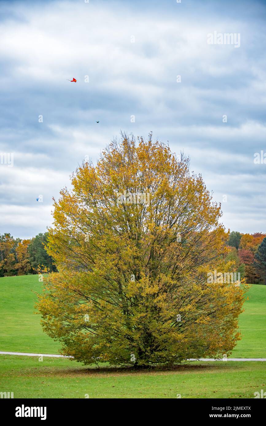 Autunno Foto Stock