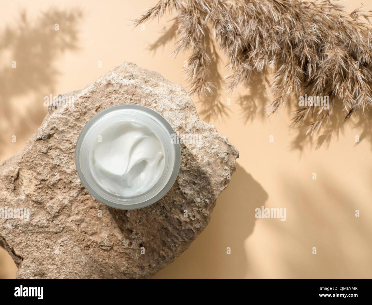Crema cosmetica, pietra, erba di pampas con copyspace Foto Stock