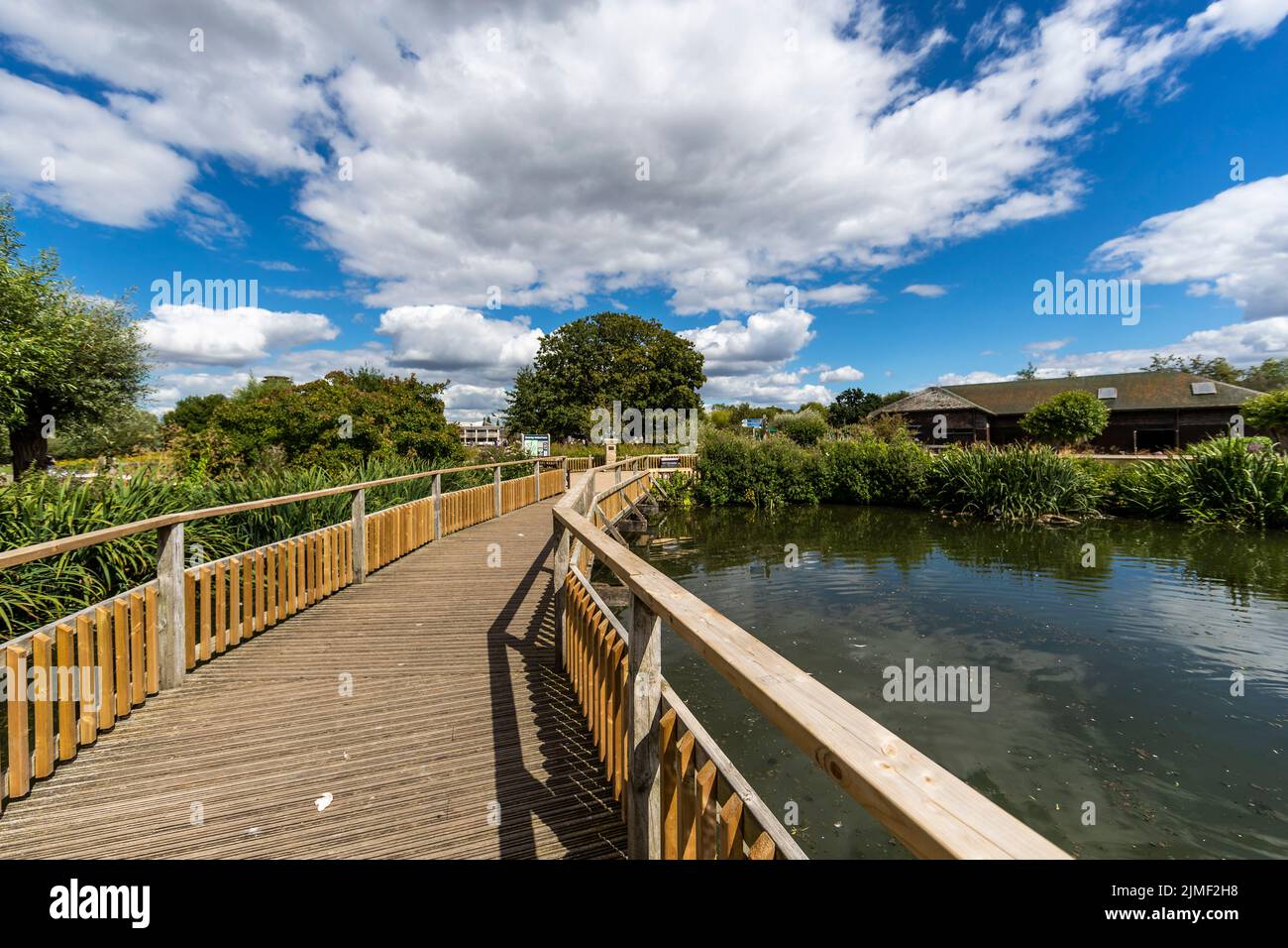 Slimbridge Foto Stock