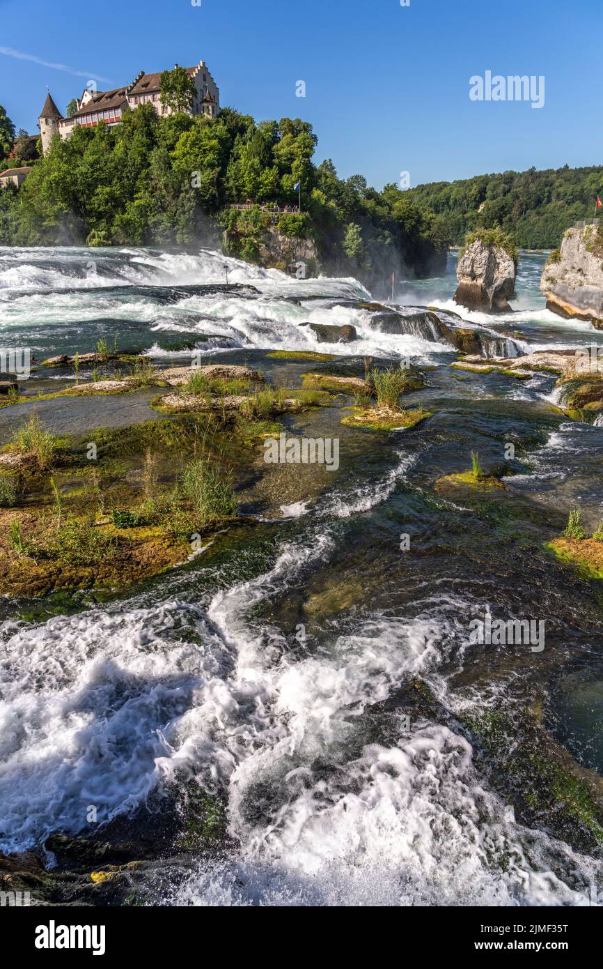 Wasserfall Rheinfall und Schloss Laufen bei Neuhausen am Rheinfall, Schweiz, Europa | Cascate del Reno e Castello di Laufen, Neuhausen am Rheinfall, Svizzerz Foto Stock