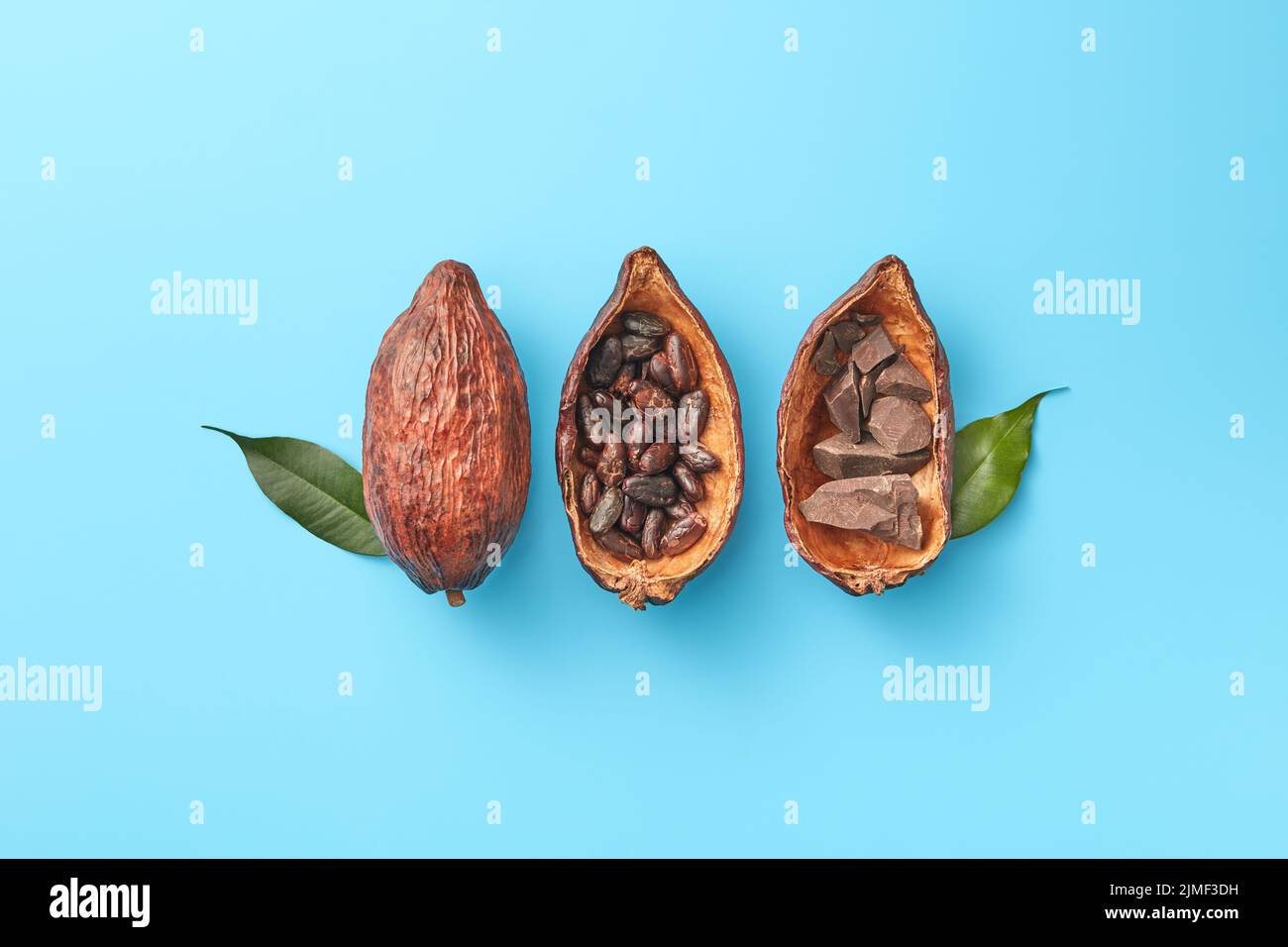 Cialde di cacao con cioccolato e fagioli Foto Stock