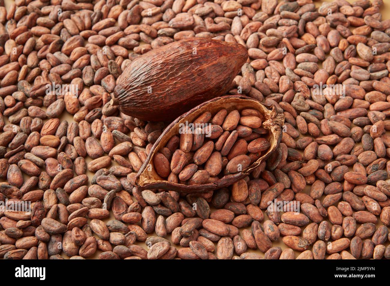 Fagioli organici di cacao in cialda Foto Stock