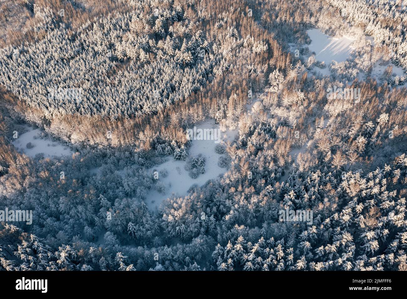 Vista sui droni foresta ghiacciata innevata durante la soleggiata giornata invernale Foto Stock