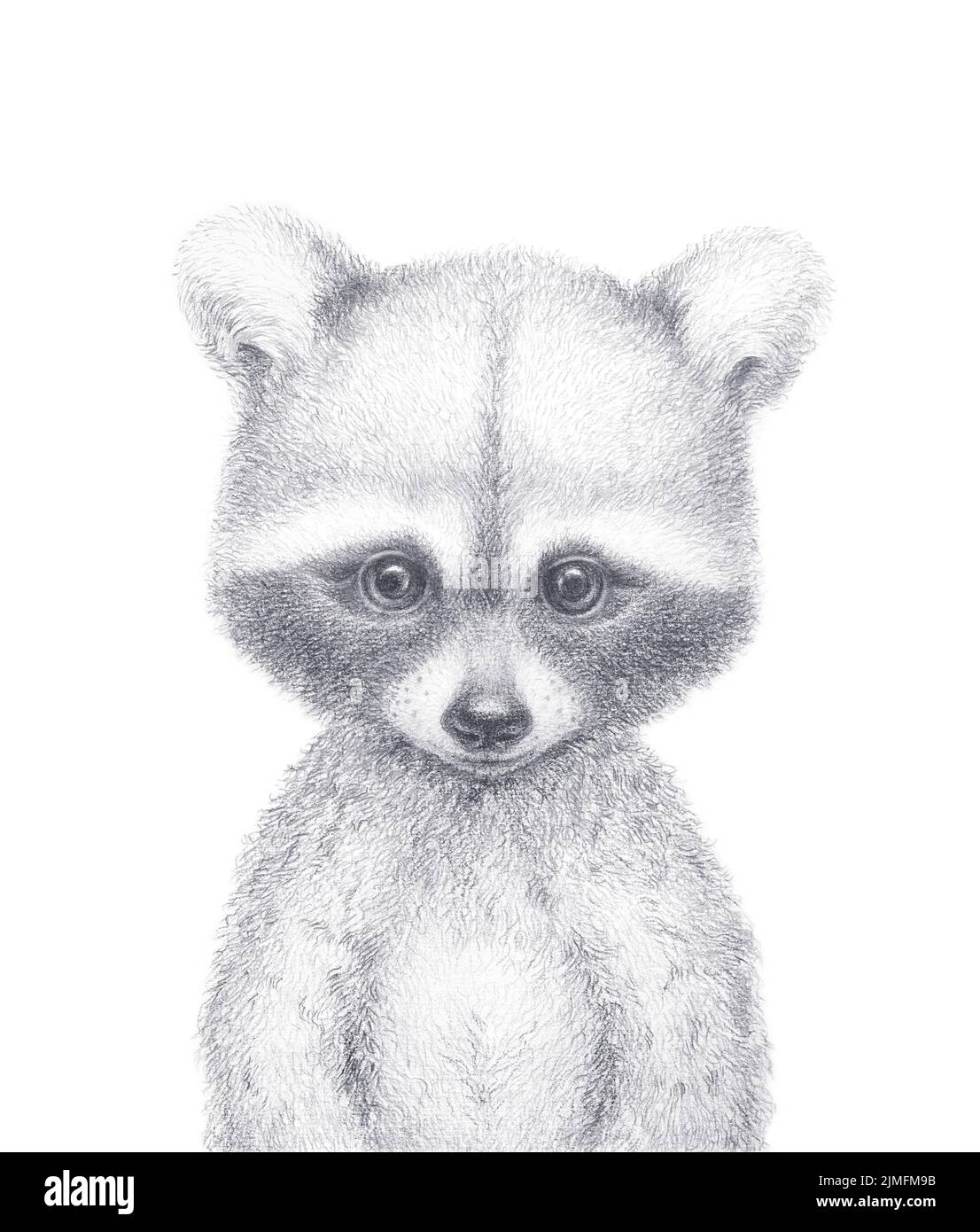 Raccoon carino. Disegno a matita. Stanza dei bambini muro Art. Foresta animale. Sfondo bianco Foto Stock