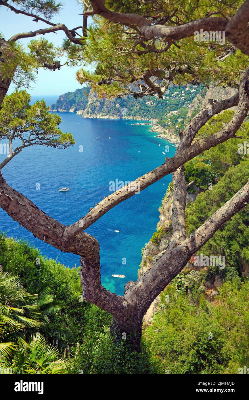 Vista sulla costa ripida dell'isola di Capri, Golfo di Napoli, Campania, Italia, Europa Foto Stock